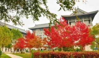 黑龙江旅游职业学院